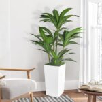 Artificial Dracaena Tree 5FT with White Tall Planter,Fake Green Plant with Natur... - Image 2