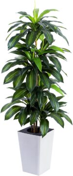 Artificial Dracaena Tree with White Tall Planter, 5ft Tall Potted Artificial Dra... - Image 2