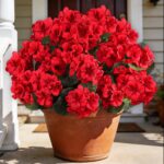 Artificial Flowers for Outdoors, 6 Bundles Realistic Silk Fake Red Geraniums, Fa... - Image 2