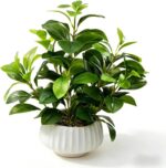Artificial Peperomia Plant 16.5” Tall Lifelike Faux Greenery in 6” White Ribbed ... - Image 2