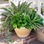 Artificial Plants Faux Greenery for Outdoor Porch Planter, UV Resistant Fake Rea... - Image 2