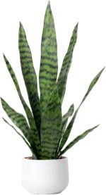 Artificial Snake Plant 22.5" Faux Agave Fake Sansevieria Artificial Potted Plant... - Image 2