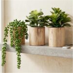 Artificial Succulents with Pots - Set of 3 Small Fake Plants for Aesthetic Room ... - Image 2