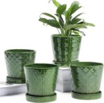 BUYMAX Plant Pots Indoor –5 inch Ceramic Flower Pot with Drainage Hole and Ceram... - Image 2