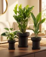 Bamworld Plant Pots Indoor with Drainage Holes- Set of 3 Pots for Plants(4.9/5.9... - Image 2