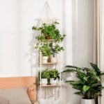 Bamworld Plant Wall Shelf Boho Plant Stand Window Plant Shelf 3 Tier Macrame Pla... - Image 2