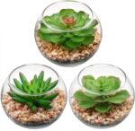 Briful Mini Fake Plants 3 Packs Artificial Succulents Plants in Round Glass Vase... - Image 2