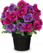 Briful Pansy Artificial Flowers, 13.7’’ Realistic Faux Pansy Flower in Black Pot... - Image 2