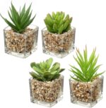 Briful Set of 4 Succulents Plants Artificial in Clear Glass Pots Small Fake Succ... - Image 2