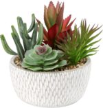 Briful Small Fake Plants Assorted Faux Succulents in Pots Realistic Succulents P... - Image 2