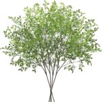 CEWOR 4pcs Artificial Plants Fake Greenery Branches for Vase, 43.3 Inch Green Na... - Image 2