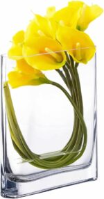 CYS EXCEL Glass Book Vase (H:8" Open:7"x2") Round Edge Oval Flower Vase Rectangu... - Image 2