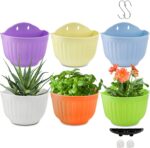 DEAYOU 6 Pack Wall Planter Hanging Flower Pot, Window Hang Indoor Outdoor Plant ... - Image 2