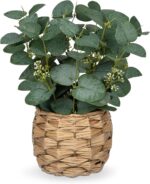 DILATATA Artificial Eucalyptus Stems in Woven Basket Planter, 11" Fake Plant Euc... - Image 2