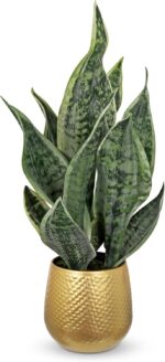DILATATA Artificial Snake Plant in Gold Pot, 18” Faux Sansevieria Potted Plant f... - Image 2