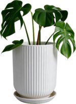 Deep Dream 8 Inch Ceramic Pots for Plants, Heavy Plant Pot for Indoor Outdoor Pl... - Image 2