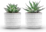 Der Rose Set of 2 Succulents Plants Artificial Fake Cactus Plants for Living Roo... - Image 2