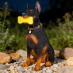 Doberman Solar Garden Statue - Outdoor Yard, Lawn, Patio Dog Decor - Unique Birt... - Image 2