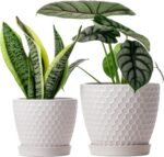Docrin Ceramic Plant Pots Set of 2 (6.6"+5.5"), High-Fired Clay Indoor Planters ... - Image 2