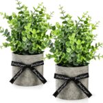 DomeStar 2 Pack Small Eucalyptus Plant, 8.6" Tall Small Fake Plants Potted Reali... - Image 2