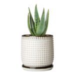 D'vine Dev 4 Inch Ceramic Beaded Stoneware Planter Pot - Flower Pot with Drainag... - Image 2