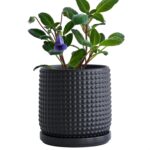 D'vine Dev 6 Inch Ceramic Beaded Stoneware Planter Pot - Flower Pot with Drainag... - Image 2