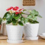 EFISPSS Ceramic Plant Pots, 6 Inch Pots for Indoor Plants, Planters with Drainag... - Image 2
