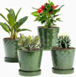 EFISPSS Flower Planter –5 inch Ceramic Plant Pots with Drainage Hole and Ceramic... - Image 2