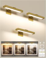 EZVALO Picture Light for Wall, Rechargeable 2400mAh Battery Lights Wireless with... - Image 2