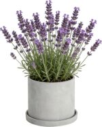 Ekirlin 7 Inch Flower Plant Pot Indoor, Natural Grey Cement Planters Concrete Pl... - Image 2