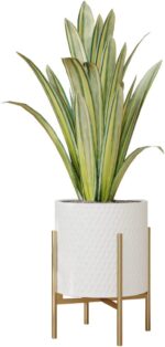EverNest Claire Mid-Century Modern White Planter and Stand, Indoor Plant Pot, Se... - Image 2