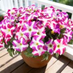 FULLMUSIC Spring Artificial Flowers for Outdoors, UV Resistant Fake Morning Glor... - Image 2