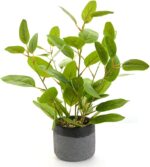 Fake Ficus Plants 14.5 Inches Tall Artificial Ficus Indoor Plants with Green Lif... - Image 2
