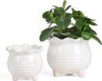Fayoula Ceramic Planter, 2 Piece Ceramic Planter Set with Drainage Hole for Home... - Image 2