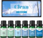 Fragrance Oil, ESSLUX Clean Set of Scented Oils, Essential Oils for Diffuser for... - Image 2