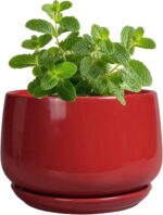 G EPGardening Ceramic Pots for Plants - 4 inch Succulent Pots Indoor Outdoor, Sm... - Image 2