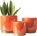 Gepege Ceramic Indoor Pots for Plants, Rainbow Pearl Glaze Planter with Drainage... - Image 2