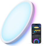 Govee Smart Ceiling Light, RGBIC LED Ceiling Light Fixture, 2400LM Flush Mount L... - Image 2