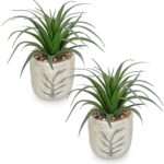 Hollyone 2 Pack Small Artificial Succulents Plants Potted Fake Spiked Succulent ... - Image 2