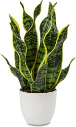 Hollyone Artificial Snake Plant Potted Faux Sansevieria Trifasciata Plants, 16.5... - Image 2