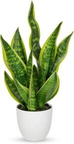 Hollyone Artificial Snake Plant Potted Faux Sansevieria Trifasciata Plants, 18" ... - Image 2