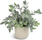 Hopewood Faux Plants, Small Fake Plant for Bathroom, Decorative Artificial Plant... - Image 2