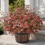 Ivydale Artificial Plants Outdoor 5 Pcs, Faux Greenery Plants Outdoor UV Resista... - Image 2