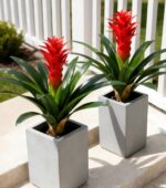 Ivydale Fake Flowers Plants for Outdoors, 2 Pcs 16.93" Bromeliad Artificial Flow... - Image 2