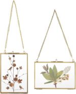 JUXYES Set of 2 Wall Hanging Brass Frames for Pressed Flowers, Golden Modern Han... - Image 2