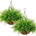 KHOYIME Artificial Hanging Plants with Basket 2PCS Fake Boston Fern Baskets, Out... - Image 2