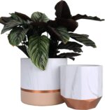 LA JOLIE MUSE White Ceramic Flower Pots - 6.7 + 5.4 Inch Indoor Planters, Plant ... - Image 2