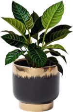 LB Black Gold Ceramic Planters for Indoor Plants, Succulent Plant Pots Ceramic P... - Image 2