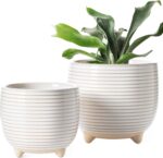 LE TAUCI Ceramic Plant Pots, 5.1 + 6.4 Inch Footed Pots for Plants, Modern Flowe... - Image 2