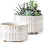 LE TAUCI Succulent Planters, 6.5+8 Inch Ceramic Indoor Plant Pot with Drainage H... - Image 2